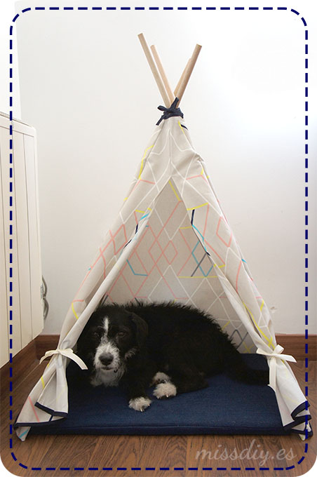 tipi perro