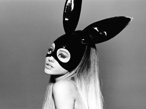 Tutorial Máscara Ariana Grande